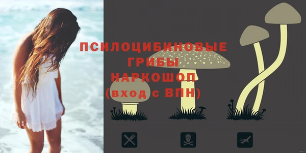 mdpv Богородск