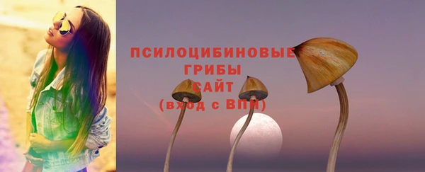 mdpv Богородск